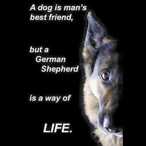 Meet your Posher, Pete